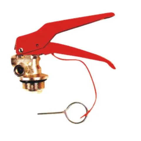 Vanne d'extinction d'incendie en laiton pour poudre sèche Mousse et CO2