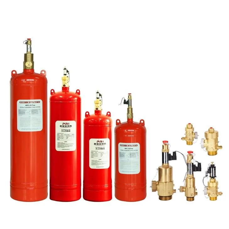 Pipe Network FM200 Fire Systems